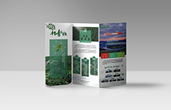 產(chǎn)品三折頁(yè)宣傳冊(cè)印刷